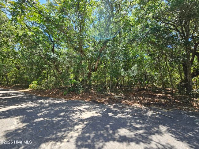 4 Creeping Cucumber Ct, Home with 0 bedrooms, 0 bathrooms and null parking in Bald Head Island NC | Image 5