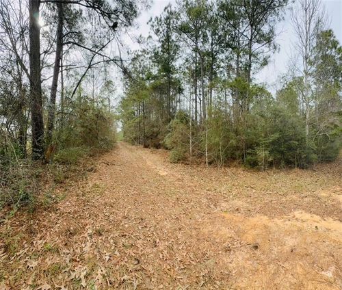 0 Road St, Citronelle, AL, 36522 | Card Image