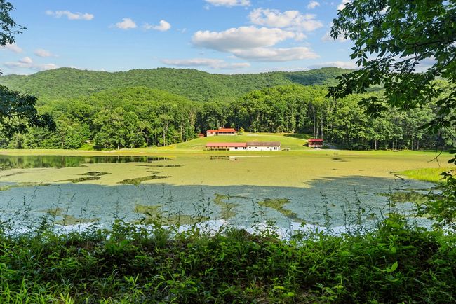 1071 Lodge Dr, Home with 4 bedrooms, 2 bathrooms and null parking in Bastian VA | Image 69