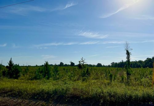 0 Tucker Grove Church Rd., Wrightsville, GA, 31096 | Card Image