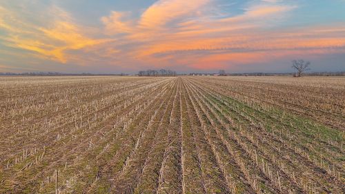 212 ACRES S Central St, CENTRALIA, MO, 65240 | Card Image