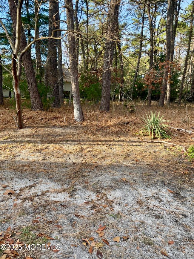 B - 19 Maplewood Dr, Home with 2 bedrooms, 2 bathrooms and null parking in Whiting NJ | Image 34