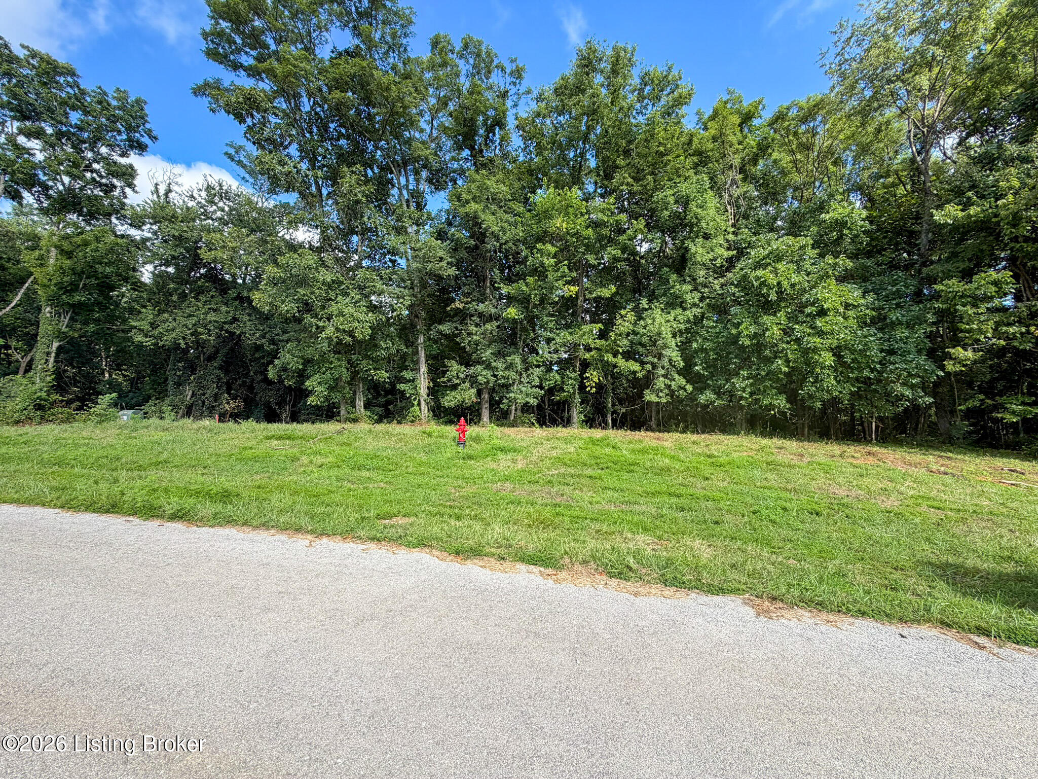 Land in Shelbyville