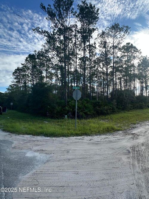 00 Whispering Pines Rd, Georgetown, FL, 32139 | Card Image