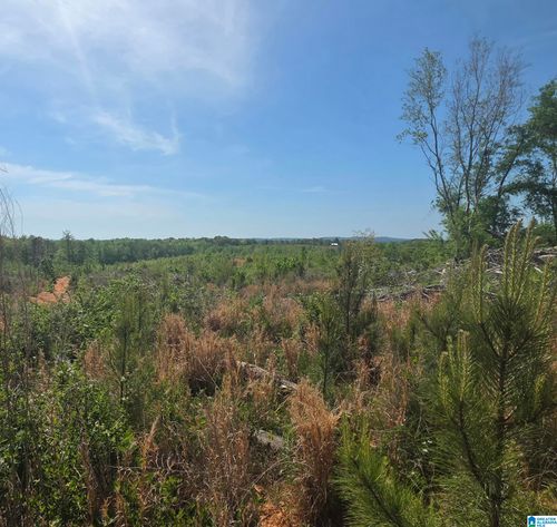 tract-8-Tract 8 County Road 256, Wedowee, AL, 36278 | Card Image