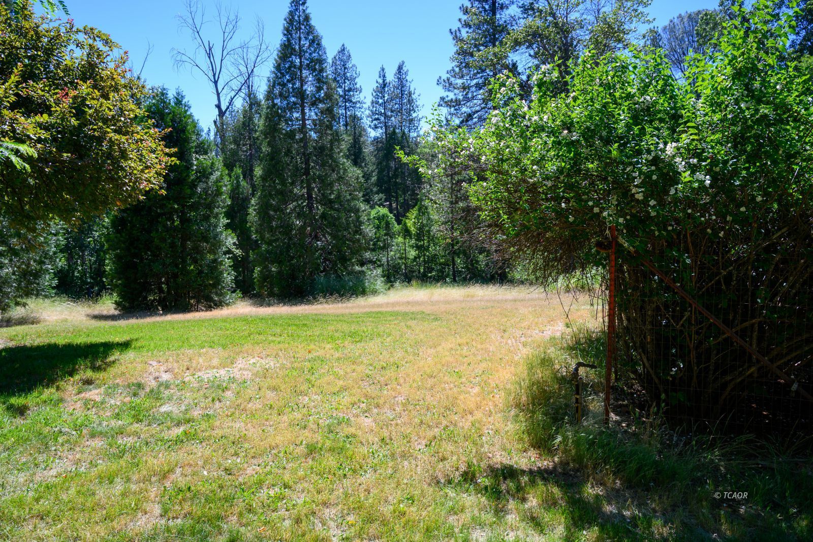 Residential in Weaverville 4