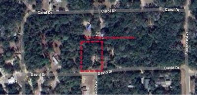 111 David Drive, Home with 0 bedrooms, 0 bathrooms and null parking in Interlachen FL | Image 1