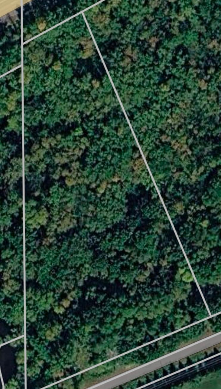 Land in Milaca 4