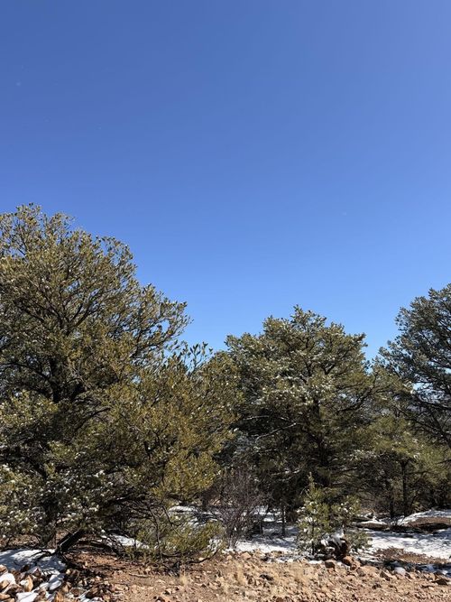 TBD 41st Trail, Cotopaxi, CO, 81223 | Card Image