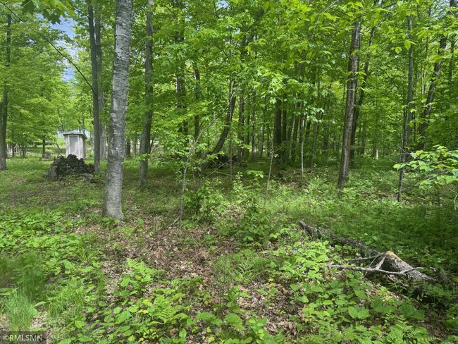 Adamek Lot - 2.jpeg | Image 4