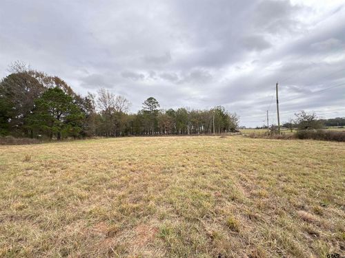 TBD Cr 4301 Plainview Rd, Omaha, TX, 75571 | Card Image