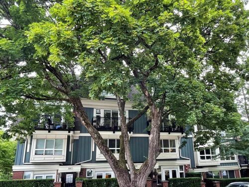 3685-W W 12th Ave, Vancouver, BC, V6R2N5 | Card Image