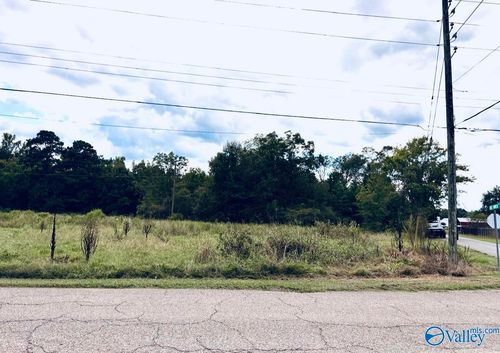 3 acre Rosehaven Drive, Southside, AL, 35907 | Card Image