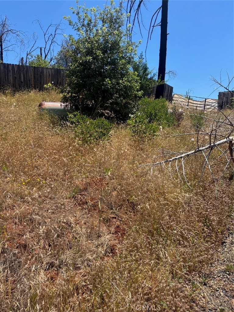 Land in Berry Creek 3