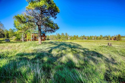 28 Divot Pl, Pagosa Springs, CO, 81147-8324 | Card Image