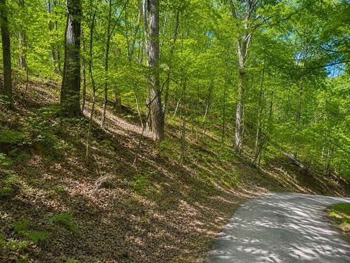 0 Lakeside Dr, Smithville, TN, 37166 | Card Image