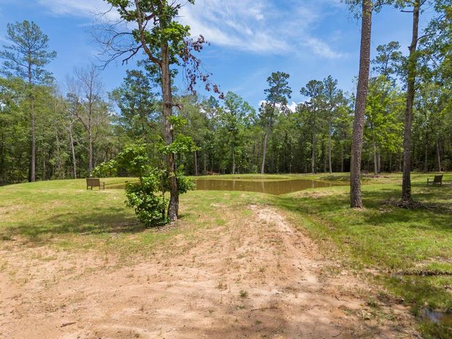 110 Coyote Run, Home with 0 bedrooms, 0 bathrooms and null parking in New Waverly TX | Image 5