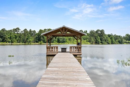 447 County Road 3150, Colmesneil, TX, 75938-5419 | Card Image