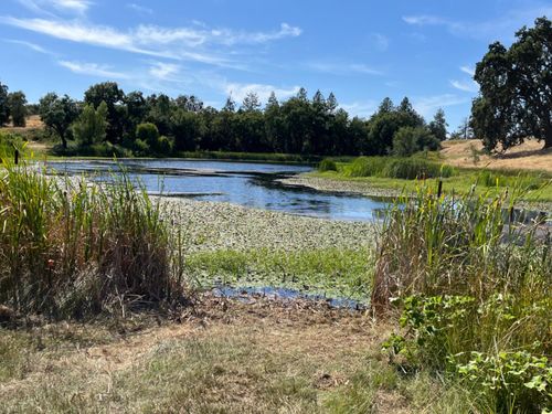 13555 Oakstream Rd, Plymouth, CA, 95669 | Card Image