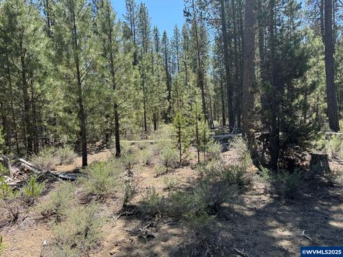TL 300 Off Nf 9768 Rd, Crescent, OR, 97730 | Card Image