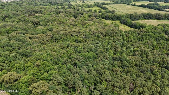 dji_fly_20240611_153706_0074_17181379484 | Image 16