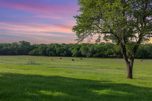 3004 County Road 310, Caldwell, TX, 77836-7011 | Card Image