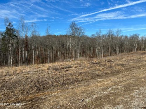 00 Robinson Levee Rd, Mc Kenzie, TN, 38201 | Card Image