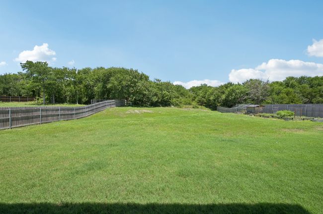View of yard | Image 22
