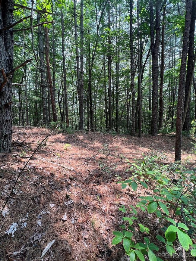 29 - 9589 Shortoff View Ter, Home with 0 bedrooms, 0 bathrooms and null parking in Nebo NC | Image 10