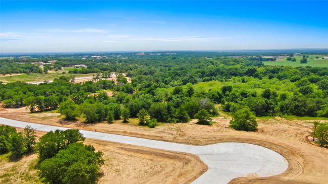 4008 Luciano Dr, Home with 0 bedrooms, 0 bathrooms and null parking in Brock TX | Image 10