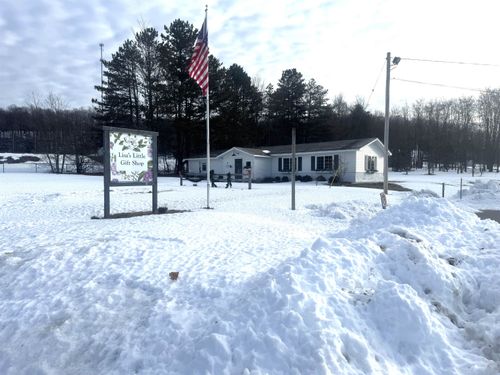 11516 Main St, Honor, MI, 49640-9482 | Card Image