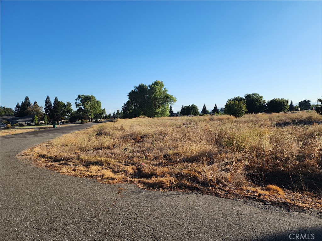Residential in Orland 2