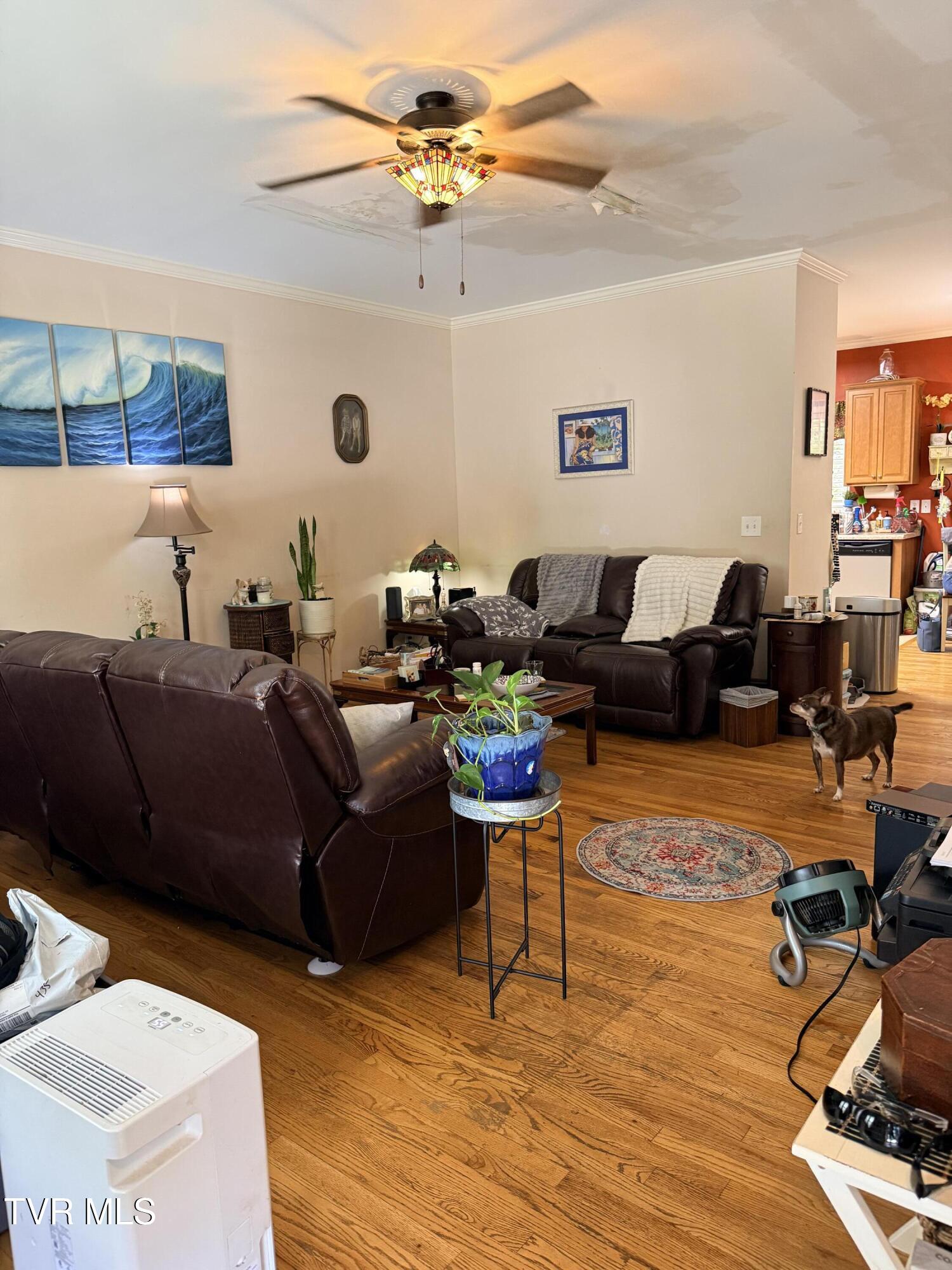 Residential in Kingsport 3