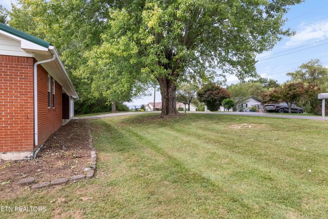 Front yard | Image 29
