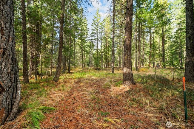 0 S Shugart Flats Rd, Home with 0 bedrooms, 0 bathrooms and null parking in Leavenworth WA | Image 24