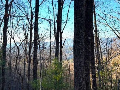 7.0 ac Laurel Dr, Marble, NC, 28905 | Card Image