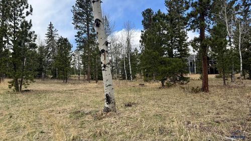 Lot 5 Blk 4 Trailside Add, Lead, SD, 57754 | Card Image