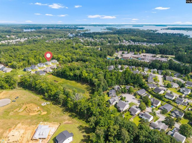191 Collins Cove Drive, House other with 5 bedrooms, 3 bathrooms and null parking in Chapin SC | Image 42