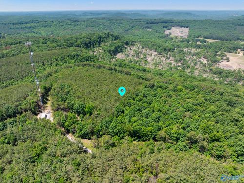 475 Summer House Mountain Road, Cherokee, AL, 35616 | Card Image