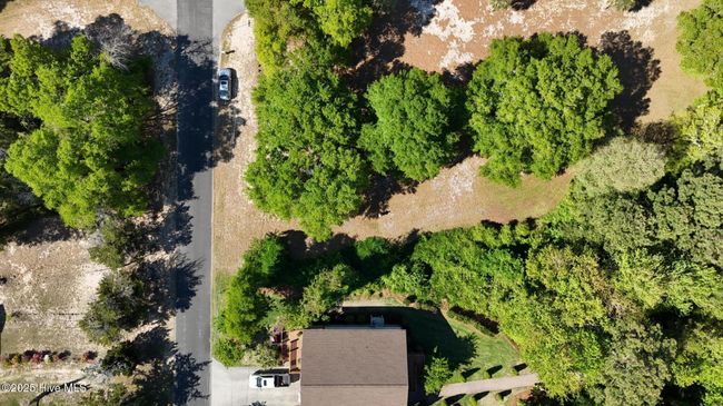 2B - 7631 Scout Camp Hatila Rd, Home with 0 bedrooms, 0 bathrooms and null parking in Wilmington NC | Image 6