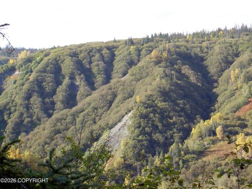 ASLS 91-13 Caribou Lake, Ninilchik, AK, 99639 | Card Image