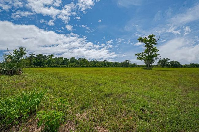 2015 Summers Rd, Home with 0 bedrooms, 0 bathrooms and null parking in Damon TX | Image 16