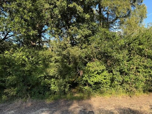 0 Laguna Vista Dr, Needville, TX, 77461 | Card Image