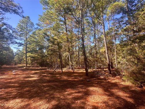 000 Pine Hollow Dr, Bastrop, TX, 78602 | Card Image