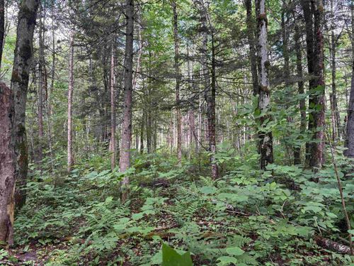 0 Newark Rd, Island Pond, VT, 05846 | Card Image