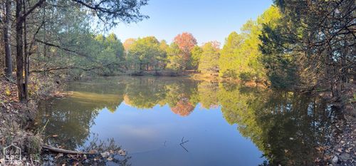 599 Arkansas 115, Cave City, AR, 72521-9343 | Card Image