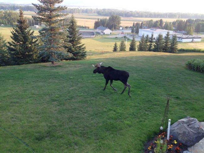 224035 318 Avenue W, House other with 4 bedrooms, 4 bathrooms and 6 parking in Rural Foothills County AB | Image 47