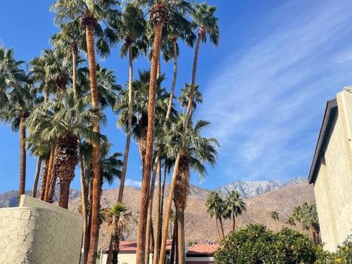 apt-208-1490 S Camino Real, Palm Springs, CA, 92264-8843 | Card Image