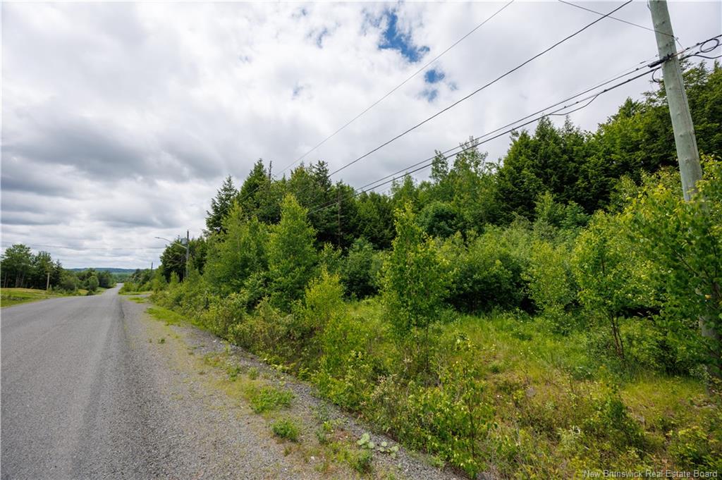 Land in Richibucto Road 3
