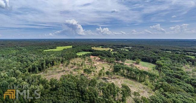 TRACT 2 Coldwater Creek Rd, Home with 0 bedrooms, 0 bathrooms and null parking in Dewy Rose GA | Image 7